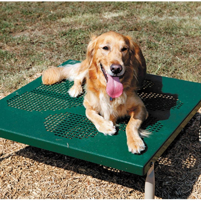 Paws Grooming Table