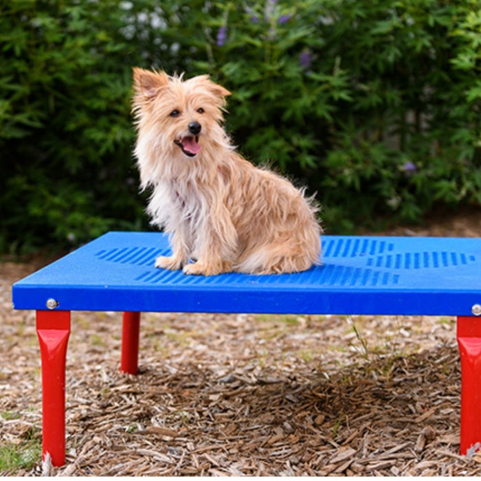 Paws Grooming Table