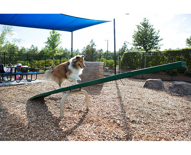 Teeter Totter